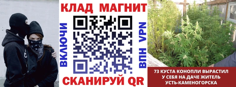 Купить закладку Жуковка Alpha-PVP  OMG ТОР  ГАШ  Галлюциногенные грибы  Кокаин  Бошки Шишки  Амфетамин  Мефедрон 