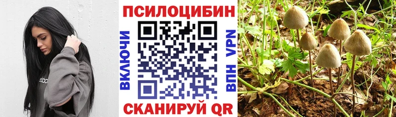 Псилоцибиновые грибы мухоморы  купить закладку  Жуковка 